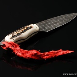 Raindrop Damascus Stag Handled Bird and Trout Knife right view