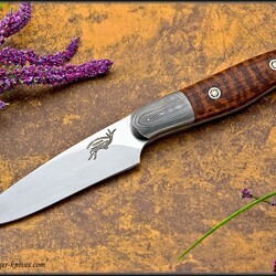 Snakewood Hunter