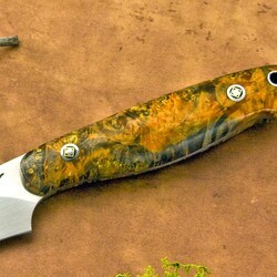 Dyed Elderburl Utility Knife close view