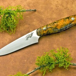Dyed Elderburl Utility Knife