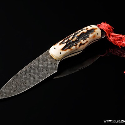 Raindrop Damascus Stag Handled Bird and Trout Knife