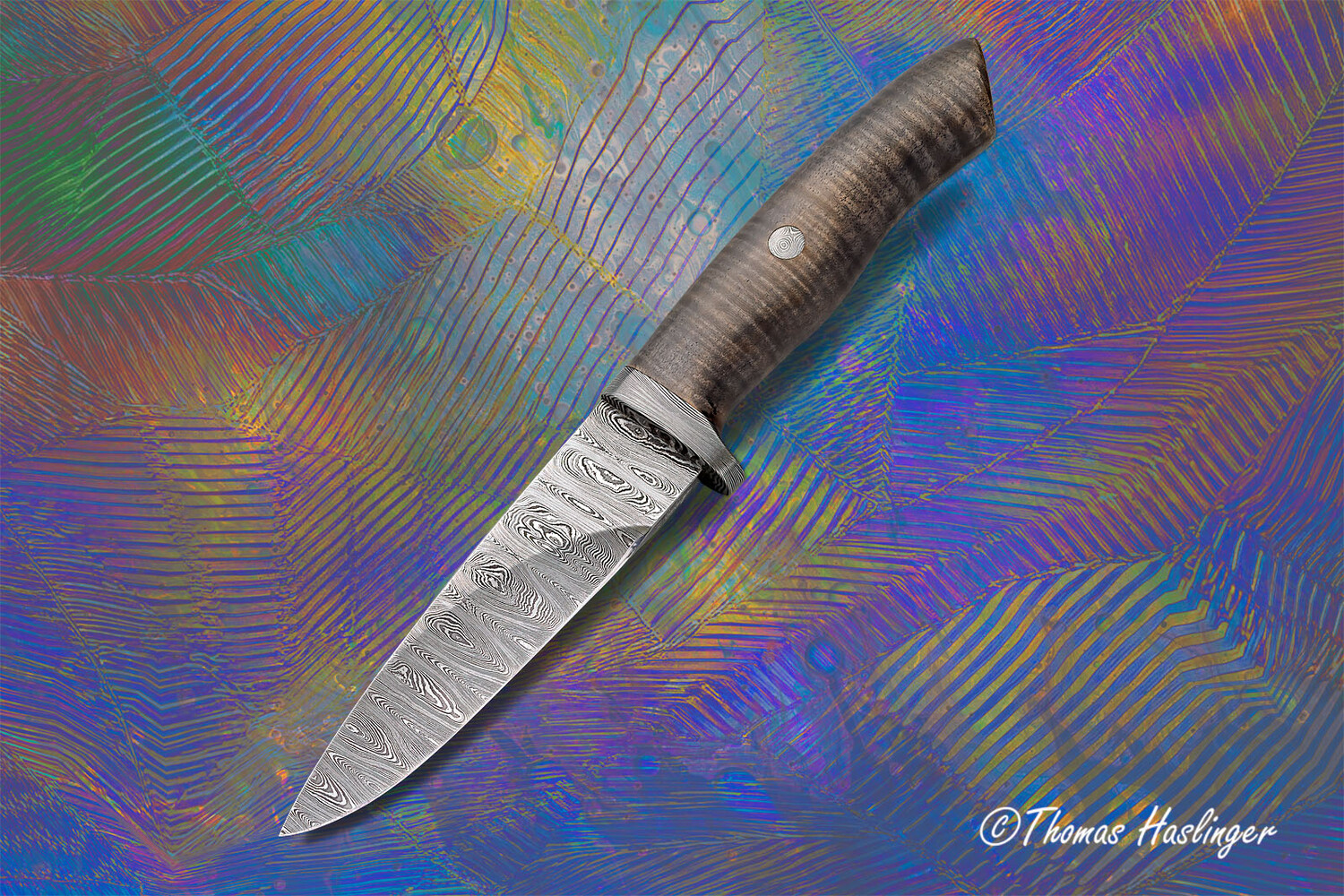 Hazelton Ladder Damascus Hunter handled in Fiddleback Maple main view