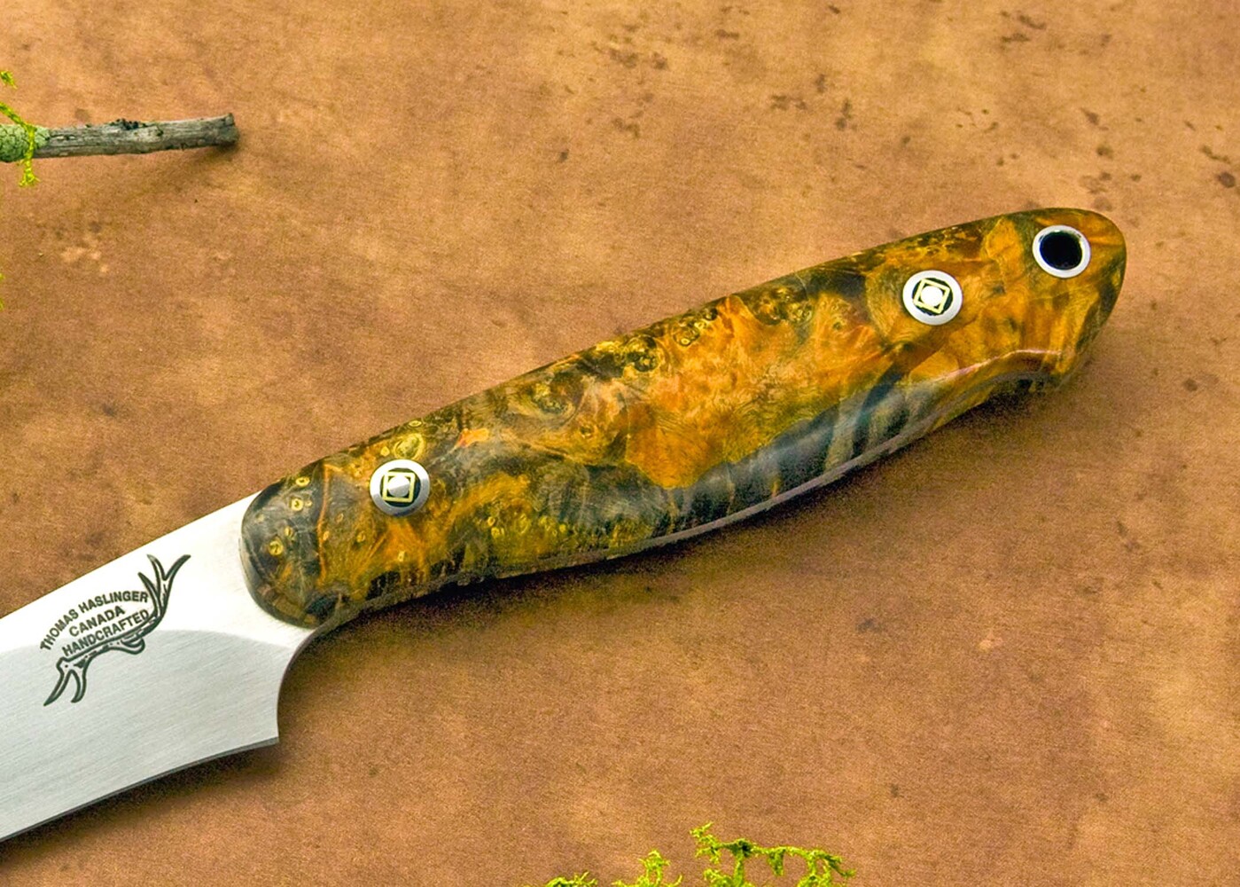 Dyed Elderburl Utility Knife close view