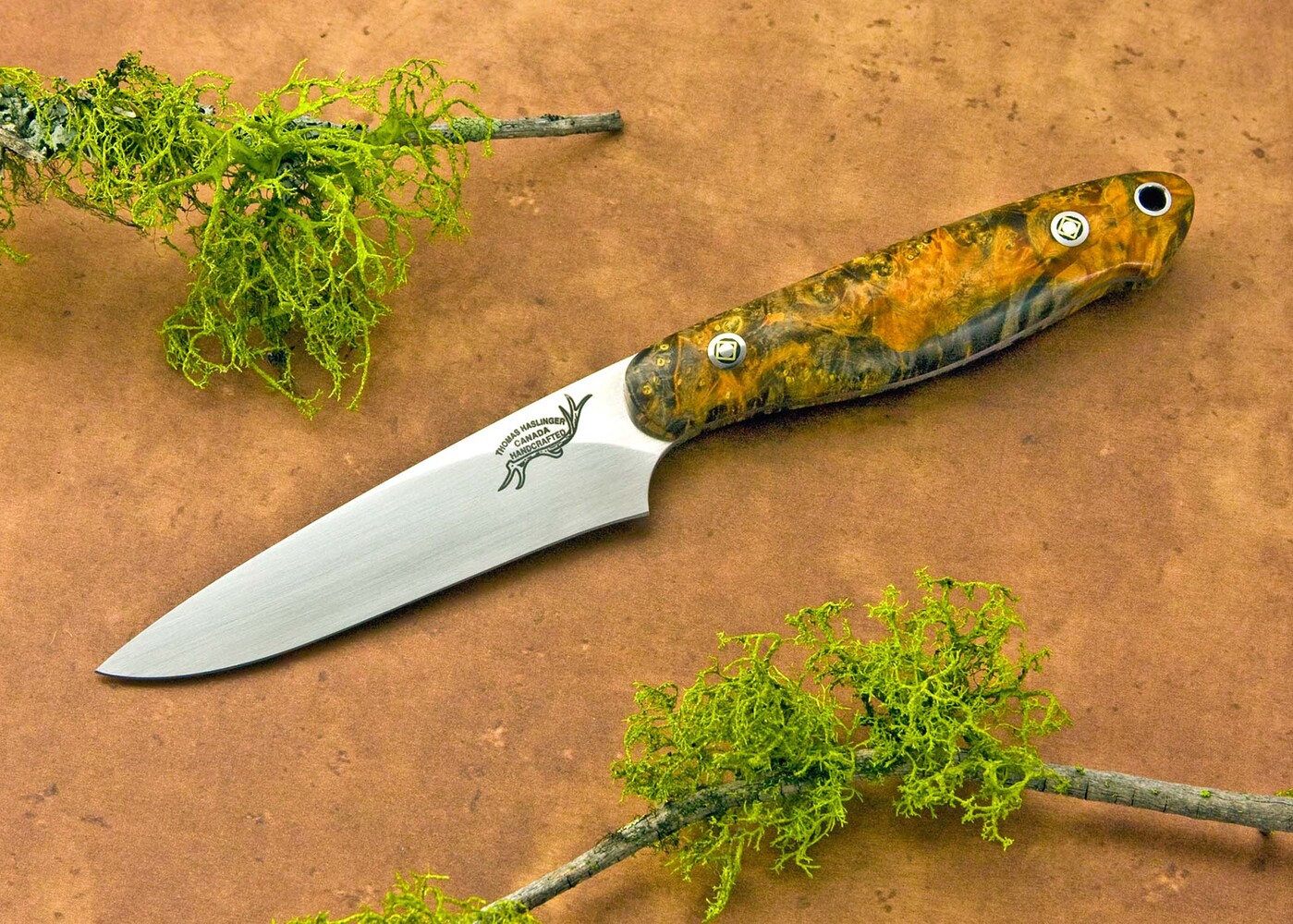 Dyed Elderburl Utility Knife